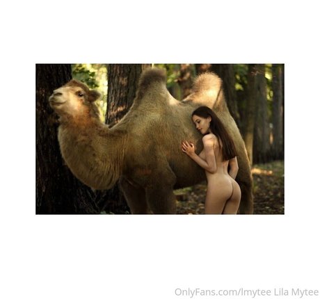 lmytee bonita estrella porno archivo