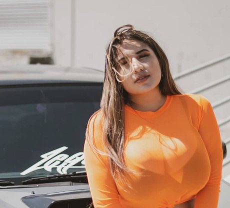 Nimsay buen modelo archivo