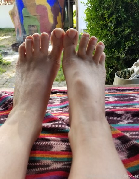 Blondie Blooms xxx star du porno archive