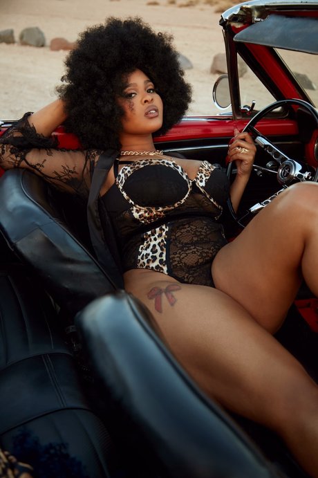 XtraXtraLeX_ étoile de haute qualité archive