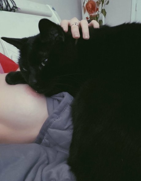 Boogainvillea art de star du porno image