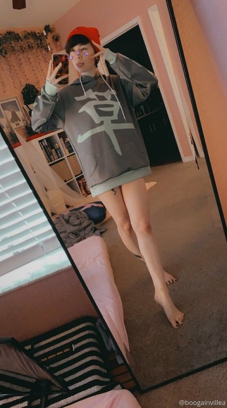 Boogainvillea arte modelo galería