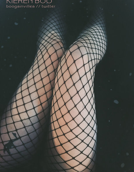 Boogainvillea actrice adulte collection