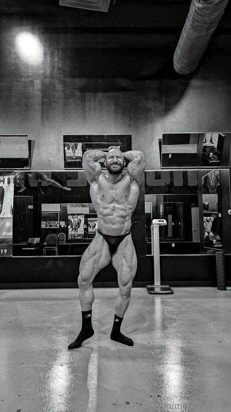 Michael Forte estrella xxx recopilación