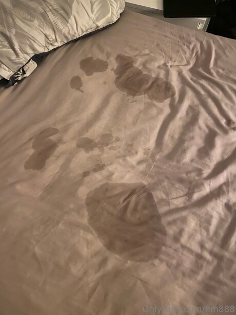 Hm888 nus star du porno galeries