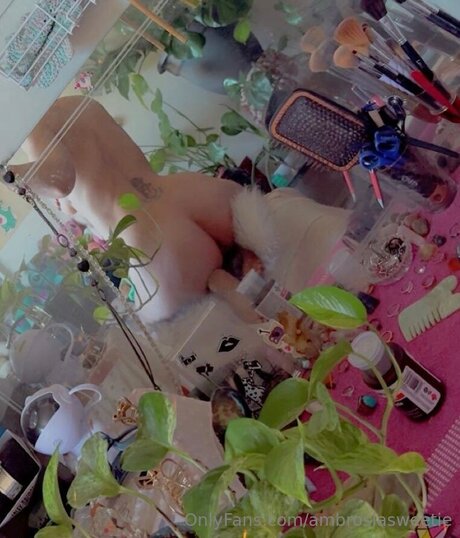 Ambrosiasweetie meilleure étoile collection