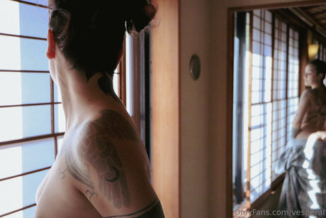 Vesperal étoile gratuite photo