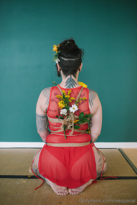 Vesperal star du porno hd photo