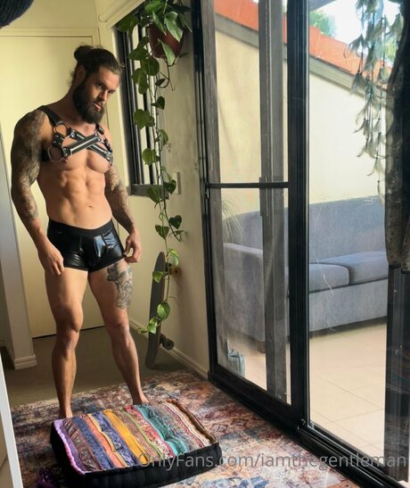 Iamthegentleman desnudos de estrellas porno galerías