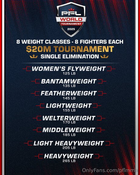 Pflmma perfect star gallery