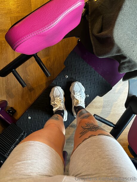 Elenascrib estrella hd imagen