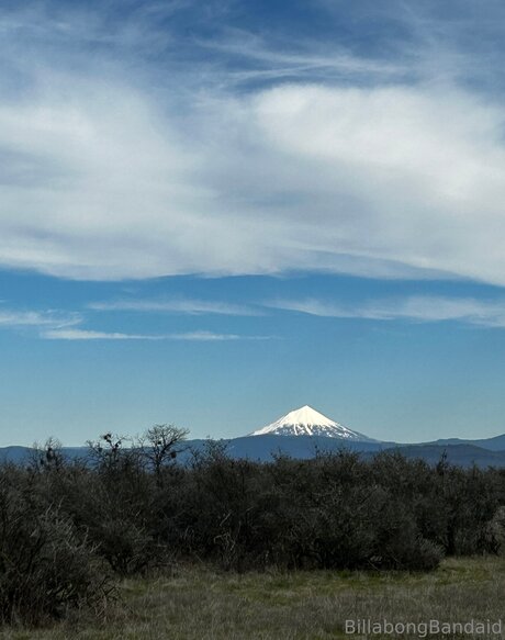 Billabongbandaid nus star du porno galerie