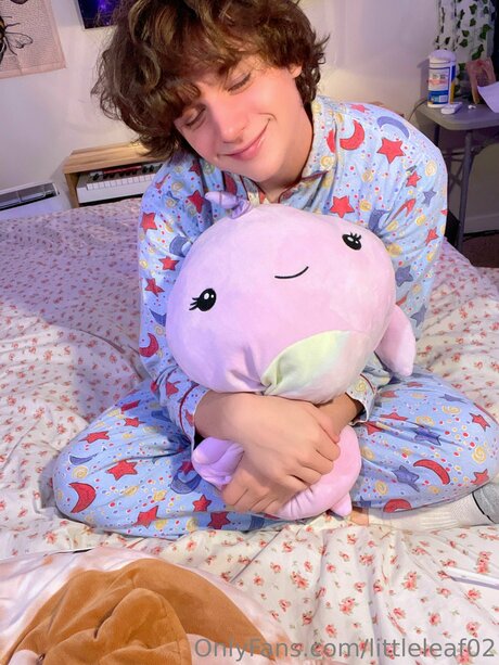 Cokia étoile collection