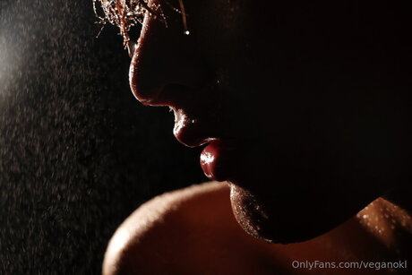 Despuesdelshow étoile hd collection