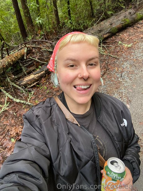 Cass Eater star du porno belle collection