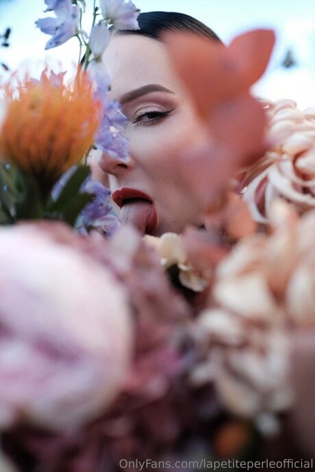 Lapetiteperleofficial estrella libre galería