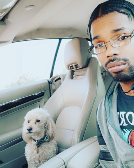 Allstarnick étoile chaude collection