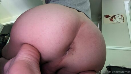 Cutemilo étoile exclusive archive