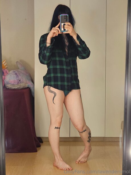 Lavendersmol étoile sympa photos