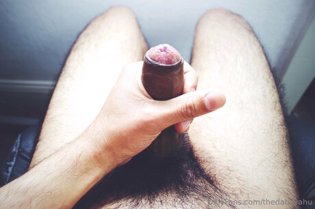 Datisyahu star du porno parfaite collection