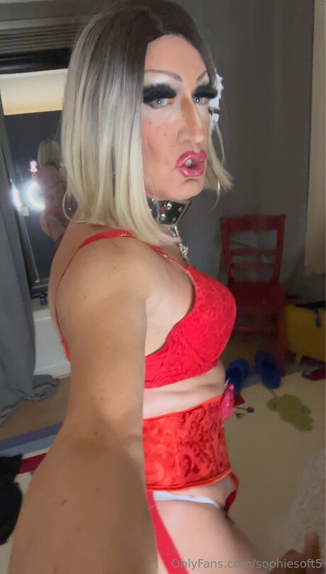 Sophiesoft5 art étoile galeries