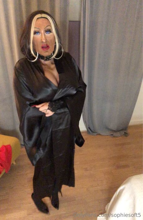 Sophiesoft5 modèle joli img