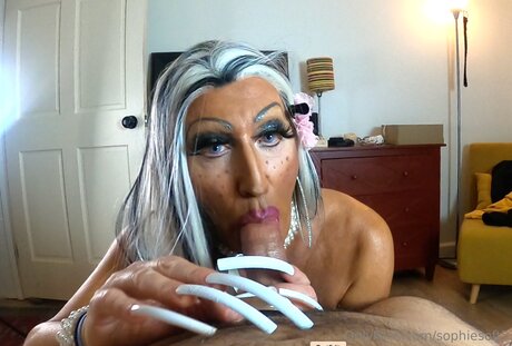 Sophiesoft5 estrella atractiva imágenes