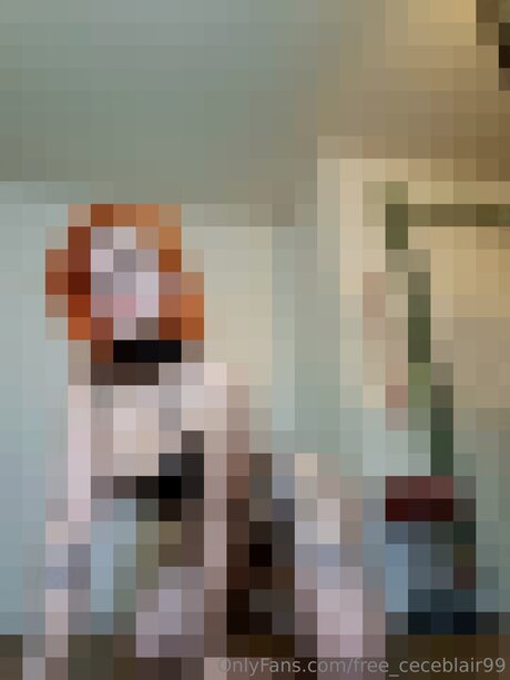 Free Ceceblair99 estrella galería