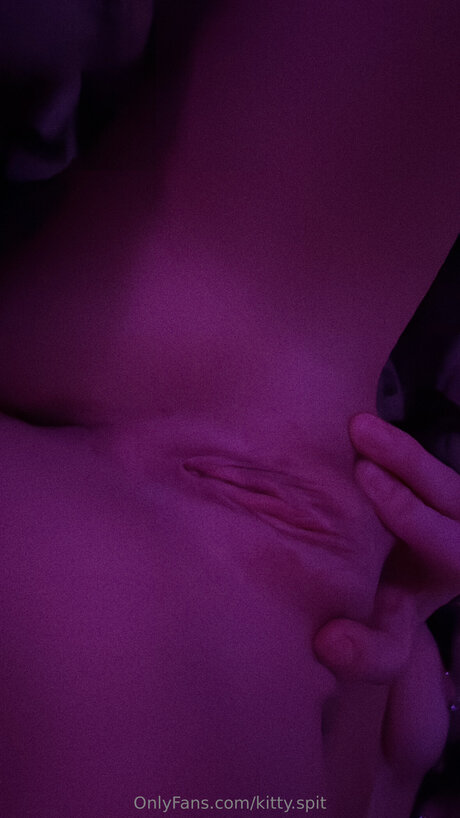 Kitty Spit haut modèle archive