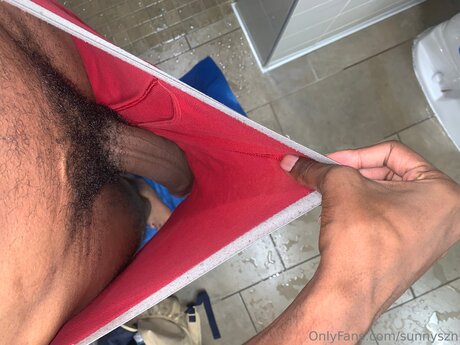 Sunnyszn desnudos estrella porno galería