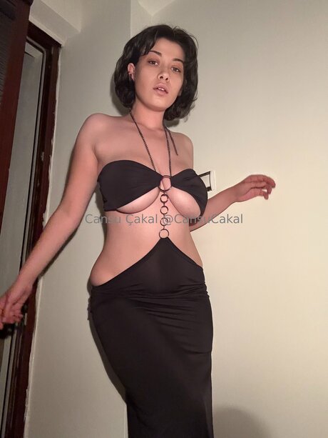 Nocns star exclusive galeries