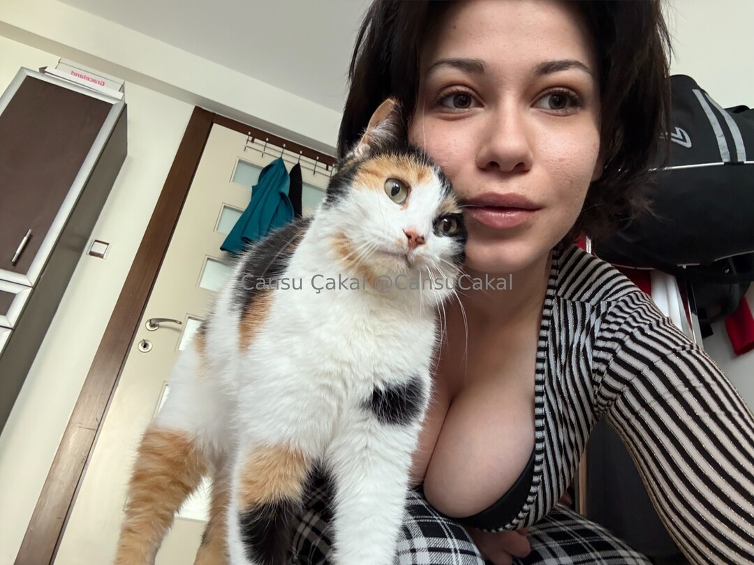 Nocns desnudos de estrellas imágenes