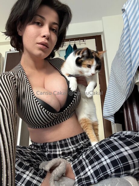 Nocns modelo libre galerías