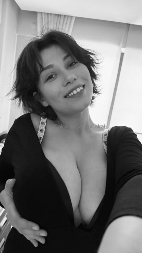 Nocns estrella caliente archivo