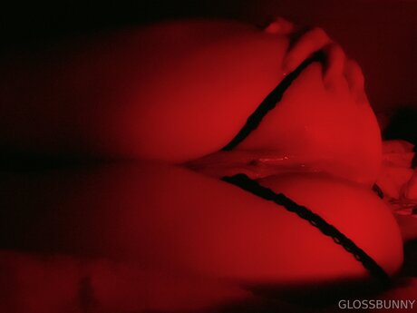 Glossbunny Imagen de perfil