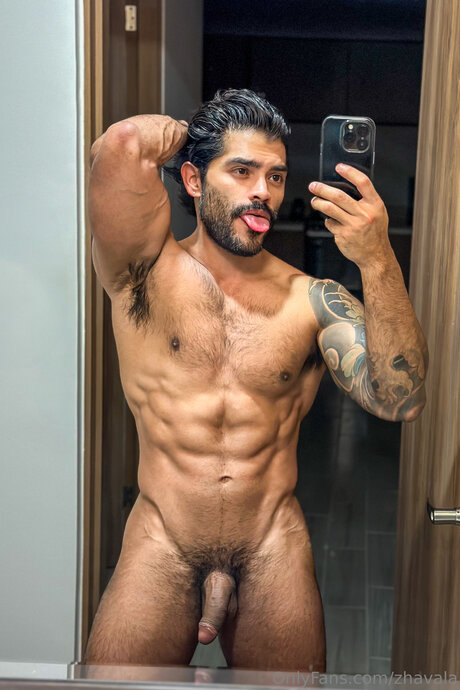 Zhavala modelo de alta definición fotos