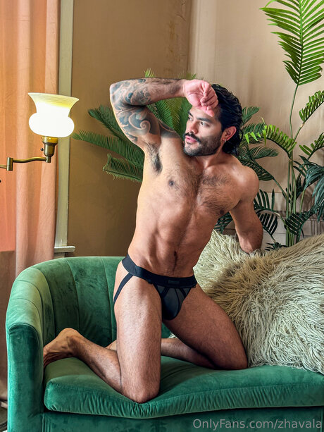 Zhavala actriz xxx recopilación