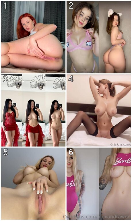 Alexandrawon étoile parfaite galerie