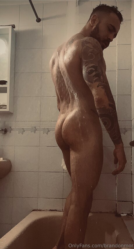 Brandonmor star exclusive galleries