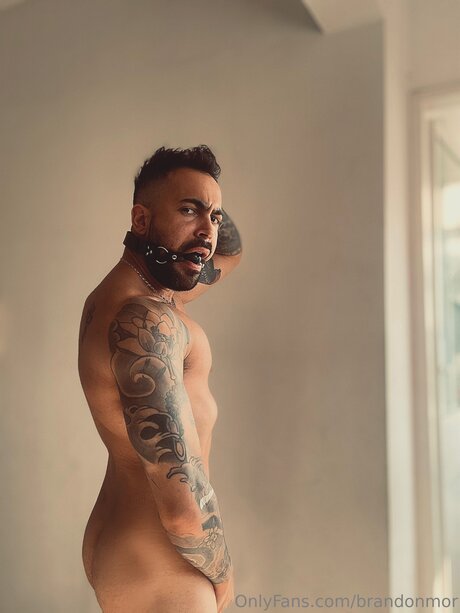 Brandonmor model nude photo