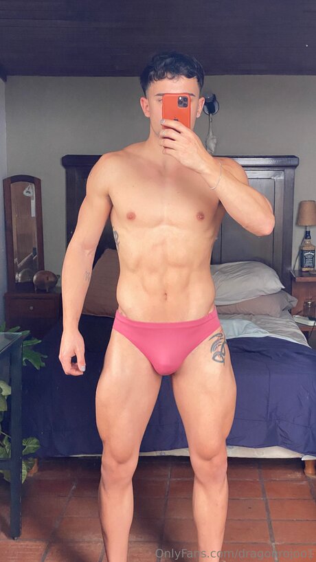 Dragonrojoo1 Miniature