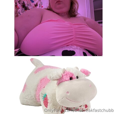 Thebreakfastchubb haut étoile galerie