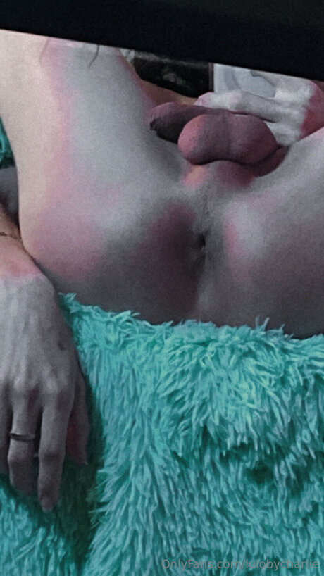 Lulobycharlie étoile magnifique collection