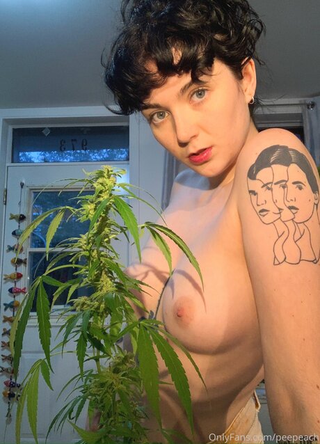 Peepeach pornstar naked image