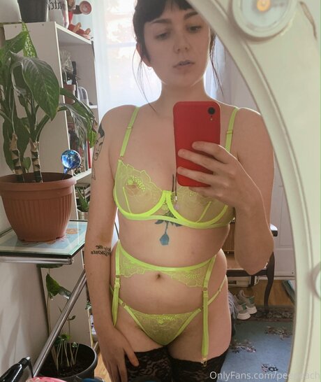 Peepeach model perfect archive