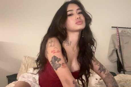 Carrotscake xxx estrella porno imágenes