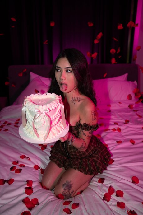 Carrotscake estrella de alta calidad archivo