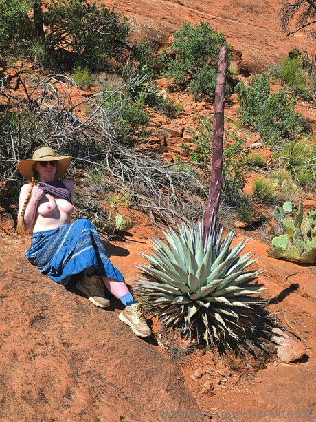 Charlottedoe joli modèle img