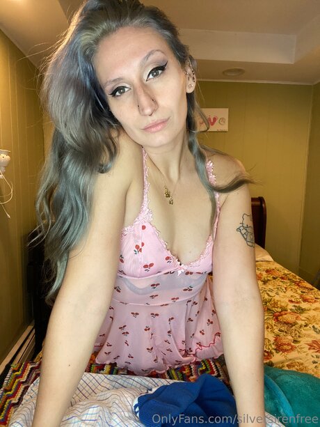 Silversirenfree modelo de arte archivo