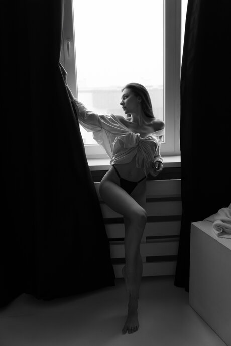 Larahook étoile parfaite galeries